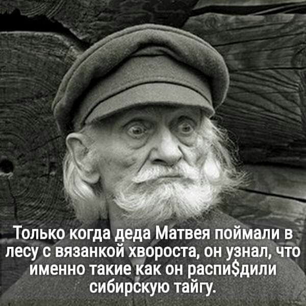 1 _Трдькр когда деда Матвея п ___цпмд из лесу с вязанкоихэороста он Узнадщо именно такие ак он распидици сибирёкупр тайгу