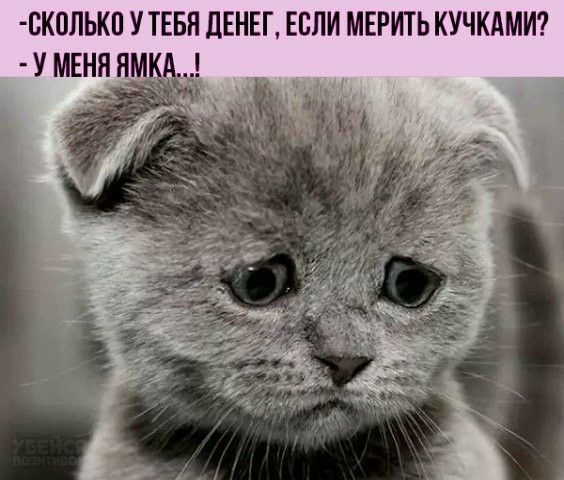 СК0ЛЬКП У ТЕБЯ ДЕНЕГ ЕСЛИ МЕРИТЬ КУЧКАМИ У МЕНЯ НМ