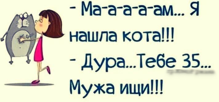 Мааааам Я нашла кота дураТе6е35 Мужа ищи