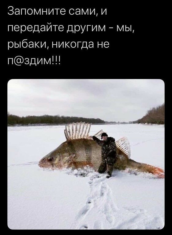 Запомните сами и передайте другим мы рыбаки никогда не п3дим