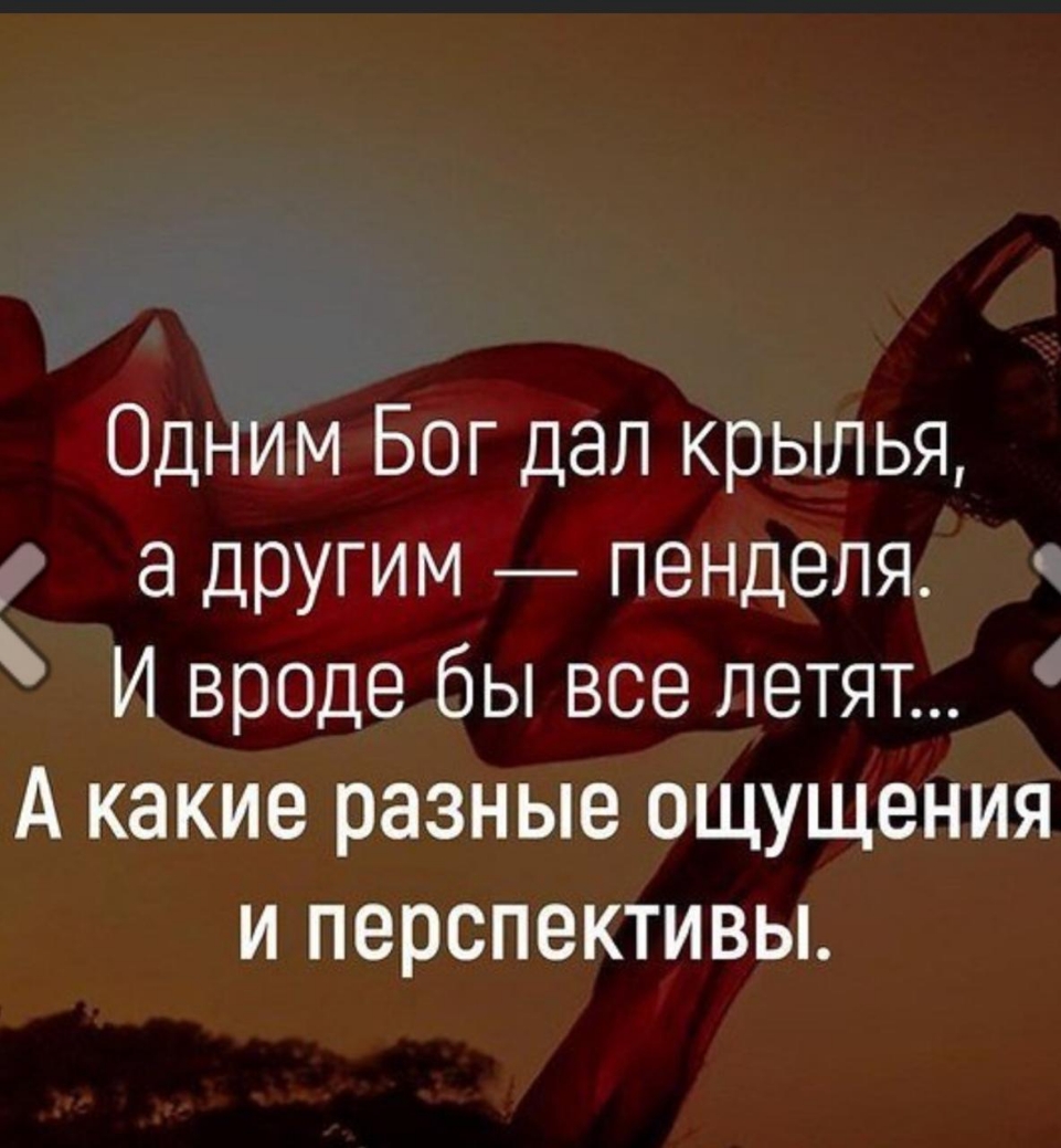 Одним Бог дал крылья а другим пенделя И вроде бы все летят А какие разные ощущения и перспективы