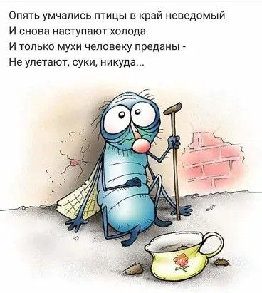 Опять умчапись тицы край неведомый и снова наступают холода и Тильке мухи чалавеку преданы Нв улетают суки никуда