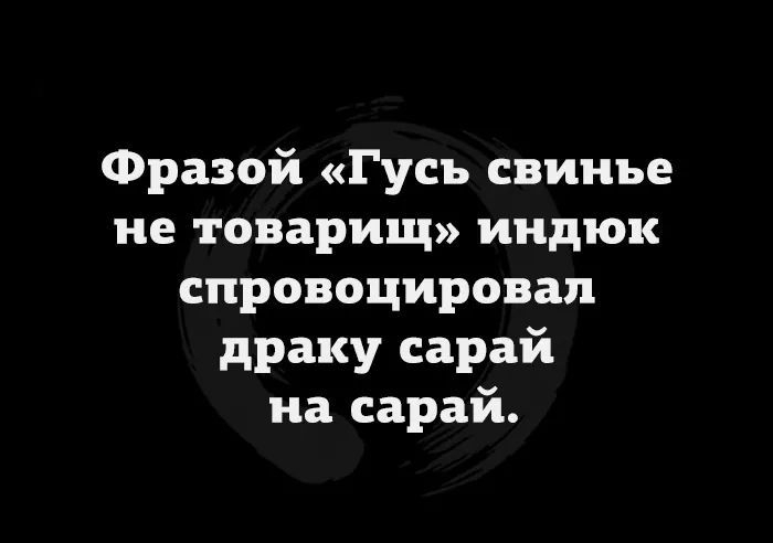 Фразой Гусь свинье не товарищ индюк спровоцировал драку сарай на сарай