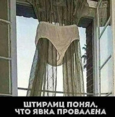 и й и ШТИРАИЦ ПОНЯА ЧТО ЯВКА ПРОВААЕНА