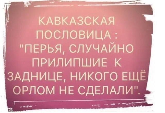 КАВКАЗСКАЯ ПОСЛОВИЦАЧ ПЕРЬЯ СЛУЧАИНО ПРИЛИПШИЕ К ЗАДНИЦЕ НИКОГО ЕЩЁ ЭРЛОМ НЕ СДЕЛАЛИ