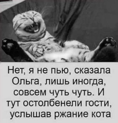 Нет я не пью сказала Ольга лишь иногда совсем чуть чуть И тут остолбенепи гости услышав ржание кота