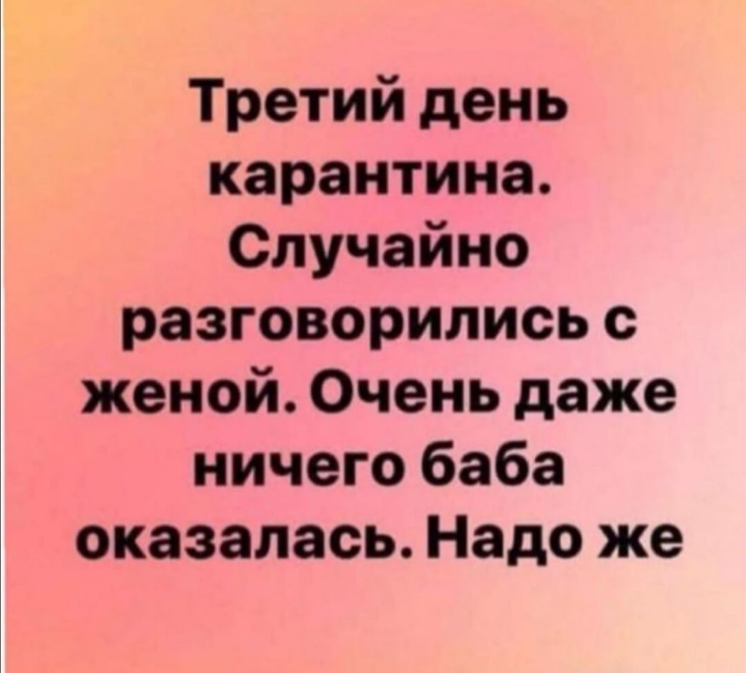 Третий день карантина Случайно разговорились с женой Очень даже ничего баба оказалась Надо же