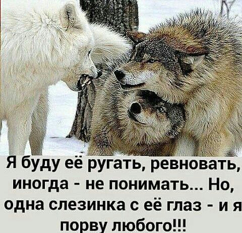 Я буду ее ругать ревновать иногда не понимать Но одна слезинка с её глаз и я порву любого