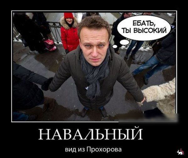 ____ ЕБАТЬ ты высокий 44 НАВАЛЬНЫЙ вид из Прохорова
