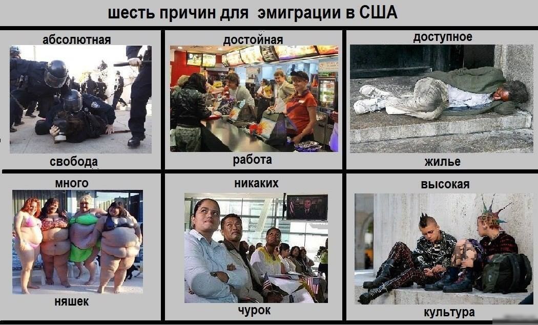 шесть причин для эмиграции в США абсолютная дост9йная доступное культура