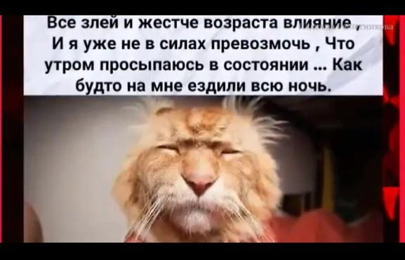 Все зпеи и жестче возраста влияние И я уже не в силах превозмочь Что утром просыпаюсь в состоянии Как 6 дто на мне ездили всю ночь