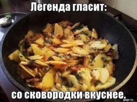 іпЪтытда тпасит что снотвоодии вичви в