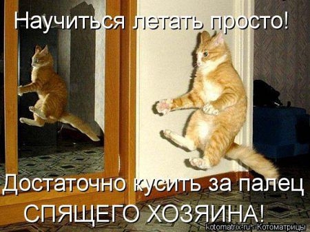 Научит я 1еггггьпро о спящего 391
