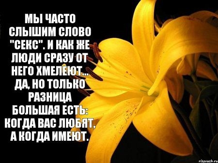 мы чисто слышим слово снип и или не люди вмз пт _ ина хишіют дд ио тплынъ пишиш Бопьшпя есть ипгдд вм пюнпт копи имеют