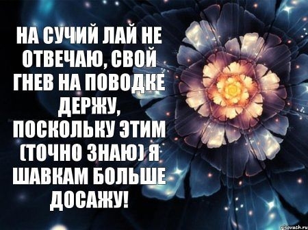 нінпічиіиішні ддт ппенппьни нти_м_ почнпзнпюш шпвндм попьщ доппнш З