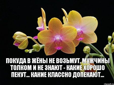 _ ППШШАВ ШЁНЬПЕ ВПЗЬМП чины Т0ПШМ И НЕ ЗНАЮТ ШП ПЕЩП КАКИЕ ПМЮИ допышют