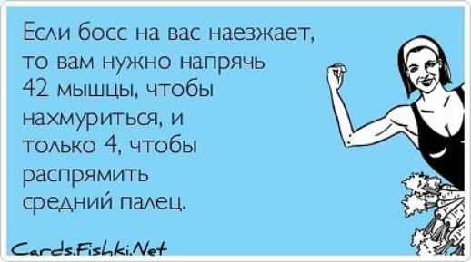 ЕСАИ босс на вас наезжает то вам нужно напрячь 42 мышцы чтобы НЗХМИЭИГЬСЯ И ТОАЬКО 4 что бы распрямить средний палец