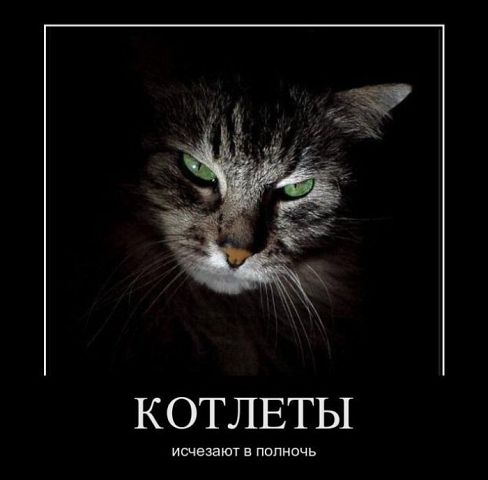 КОТЛЕТЫ ишезэют в пол