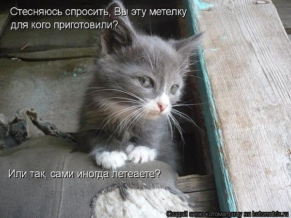Сгесняюоь спросить эту метепку для кого приготовили