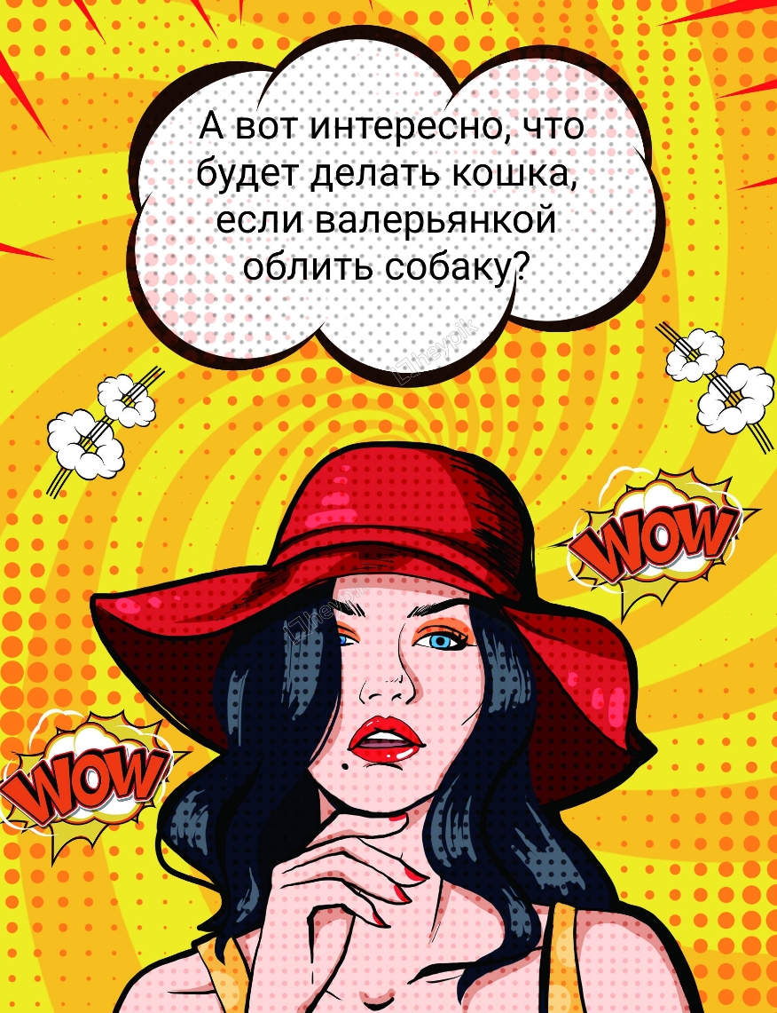 А вот интересно что будет делать кошка если валерьянкой облить собаку