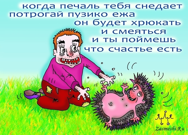 когда печаль тебя снедает потрогай пузико ежа он будет хрюкать и смеяться и ты поймешь что счастье есть иш1190
