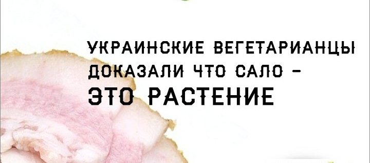 УКРАИНСКИЕ ВЕГЕТАРИАНЦЫ Д0КАЗАЛИ ЧТО САЛО зто РАСТЕНИЕ