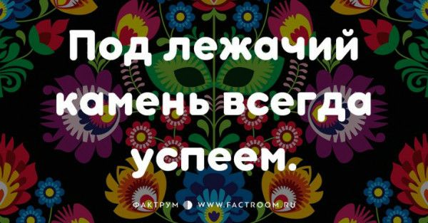 Под лежачий камень всегда успеем В