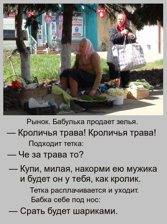Рынок Бабулька продает зелья Кроличья трава Кроличья трава Подходит тетка Че за трава то Купи милая накорми ею мужика и будет он у тебя как кролик Тетка расплачивается и уходит Бабка себе под нос Срать будет шариками