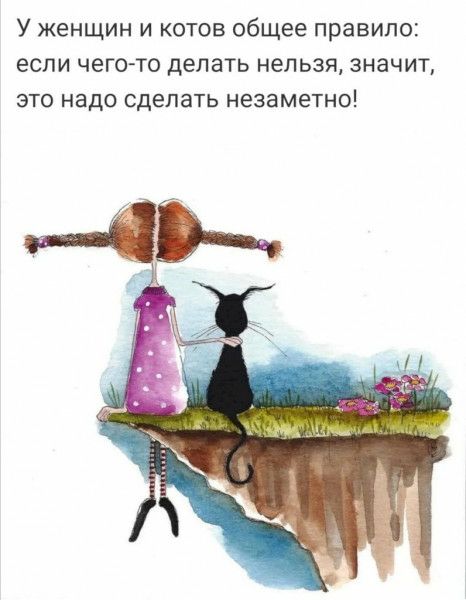 У ЖЕНЩИН И КОТОВ общее правило ЕСЛИ ЧЕГО ТО делать нельзя значит ЭТО надо сделать незаметно