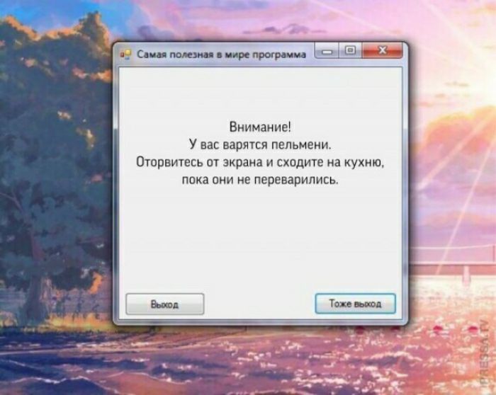 Внимание У вас варятся пельмени ОТППВИТЕЕЬ ПТ экрана И СХОДИТЕ иа КУХНИ пока они не переварипись