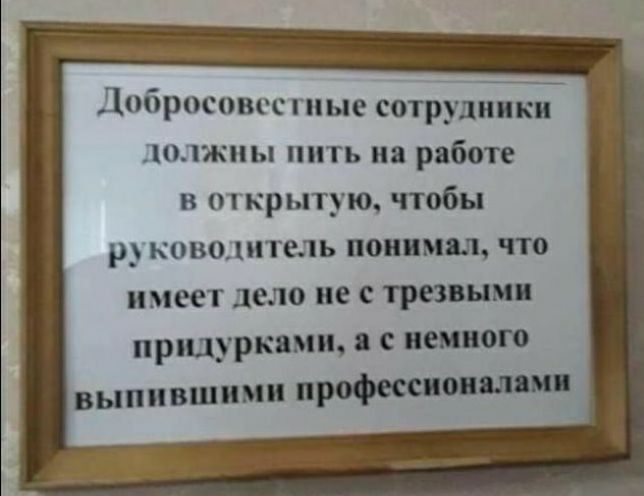 Добросовсс гиые сотрудники должны пить на работе в открытую чтобы руководитель понимал что имеет дело не с трезвым придурками С пенного выпившими професси шип