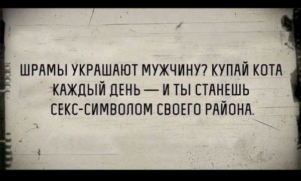 ж ШРАМЫ УКРАШАЮТ МУЖЧИНУ КУПАЙ КОТА КАЖДЫЙ ДЕНЬ И ТЫ СТАНЕШЬ СЕКЕ ЕИМВОППМ СВОЕГО РАЙОНА