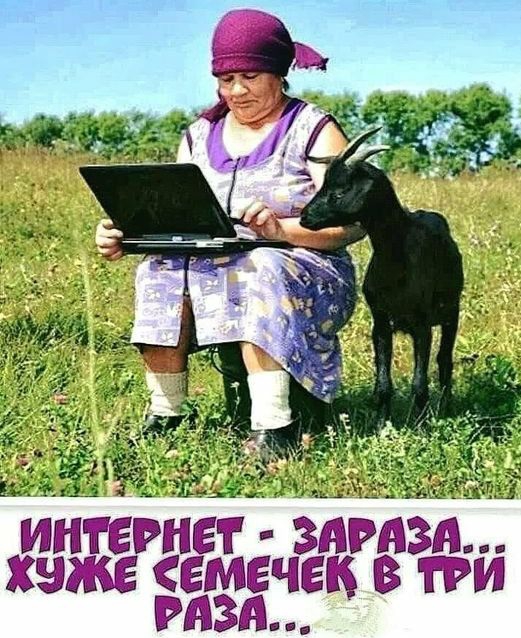 ЕЛШЁЕЁЁБПЁЪ ЗЁЁЙЗЁ ёЁЙЗЁЁЧЕЁБЪ ГРМ