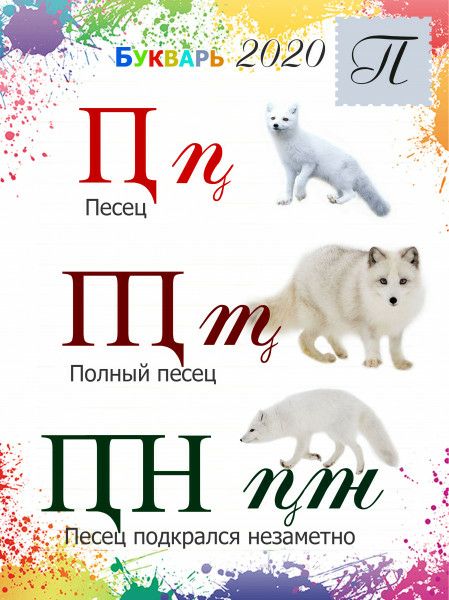 Щщ Полный песец
