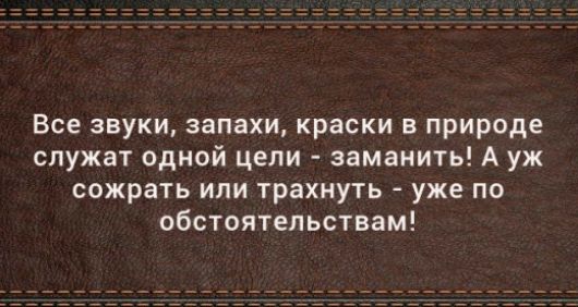 Все звуки запахи краски в природе служат одной цели заманить А уж сожрать или трахнуть уже по обстоятельствам