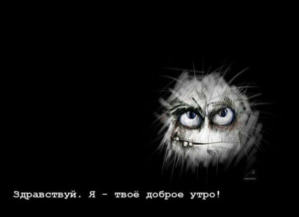 Здравствуй я твоё дсброе утро