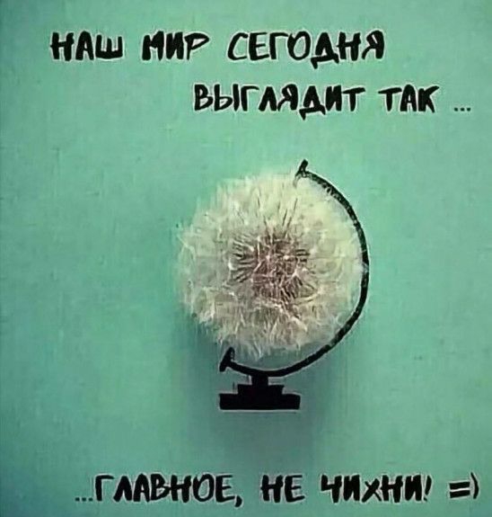 ы ндш нп сегодня выглядит так ГЛАВНОЕ НЕ ЧИХНИ