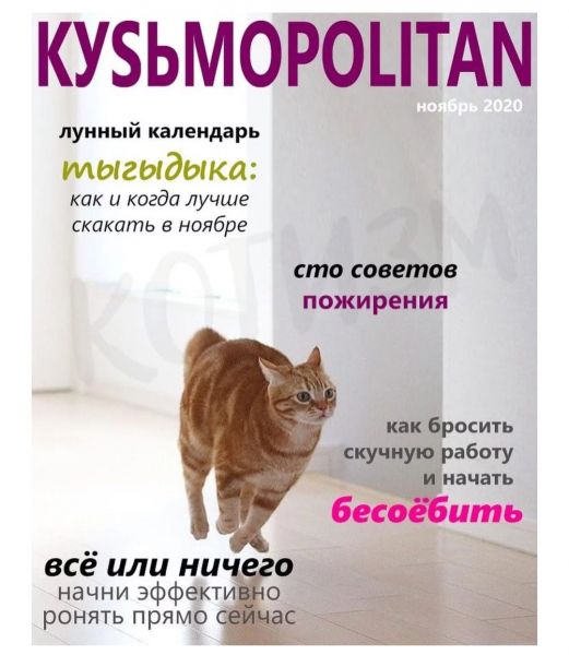 КУБЬМОРОЦТАМ лунный календарь мыгыдыка как и когда лучше скакать в наябре сто СОСЕШОВ пожирения кпк Бросить скуп аботу _ начать бос ить всё или ни о начни эффект ронять прямо