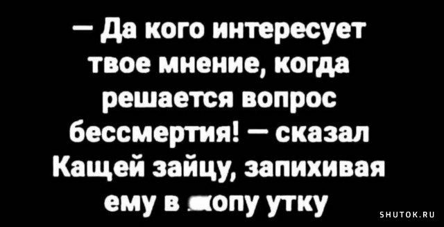 да кого интересует твое мнение когда решается вопрос бессмертия сказал Кащей зайцу запихивая ему в попу утку ииииииии