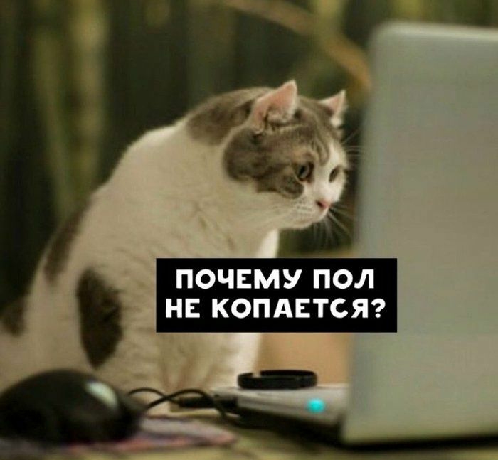 ПОЧЕМУ ПОЛ НЕ КОПАЕТСЯ