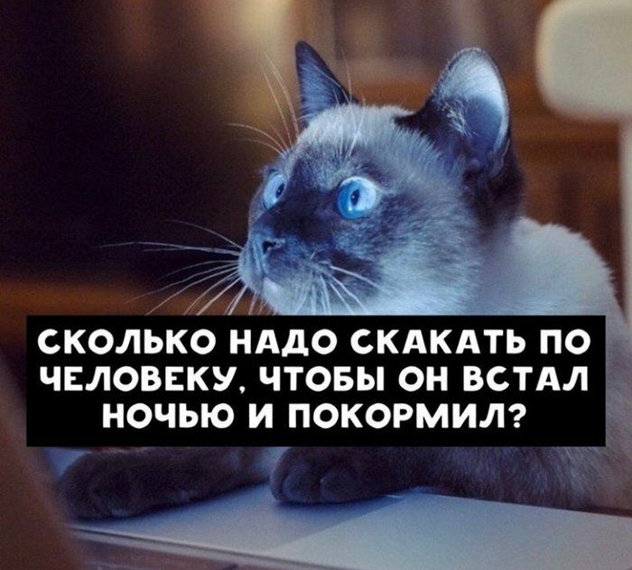 СКОЛЬКО НАДО СКАКАТЬ ПО 3 ЧЕЛОВЕКУ ЧТОБЫ ОН ВСТАЛ НОЧЬЮ И ПОКОРМИЛ
