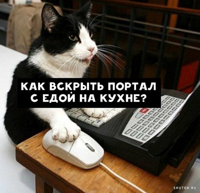 КАК ВСКРЫТЬ ПОРТАЛ С ЕдОИ НА КУХНЕ