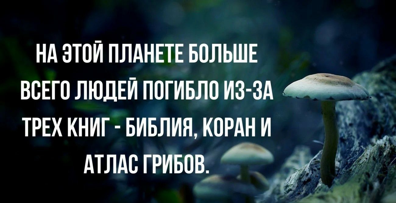 нд этои плднвтн вольшн всЕго ЛЮДЕЙ погивлп из зд Зам ТРЕХ книг вивлия кпрдн и 3 дтлдс гривпвйд