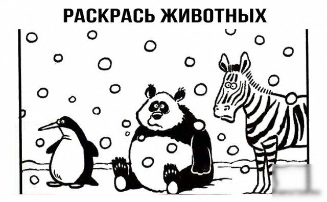 РАВКРАСЬ ЖИВОТНЫХ о