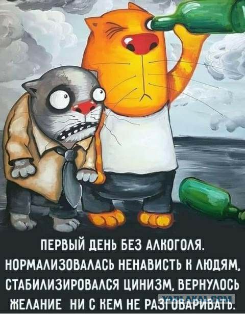 ак 3 пврвый день 553 многом норммизовмдсь нвндвисть н АЮдЯМ стльимзировмся цинизтдвущоць ШЕААНИЕ ни с нем не мзттииш