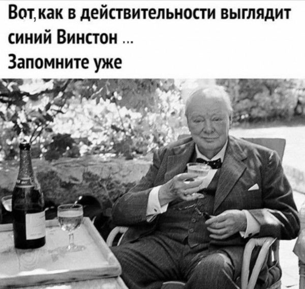 Вот как в действительности выглядит синий Винстон Запомните уж