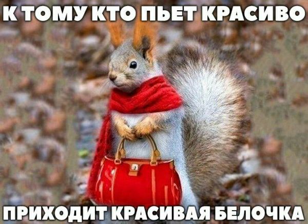 К ТЬМУ КТО ПЬЕТ КРАСИВО