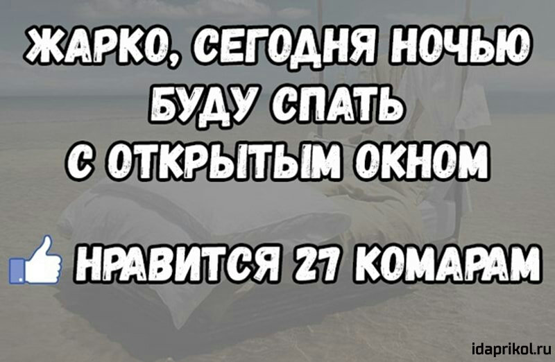ЖАРКО СЕГОДНЯ НОЧЬЮ БУДУ СПАТЬ О ОТКРЫТЫМ ОКНОМ НРАВИТСЯ 21 КОМАРАМ