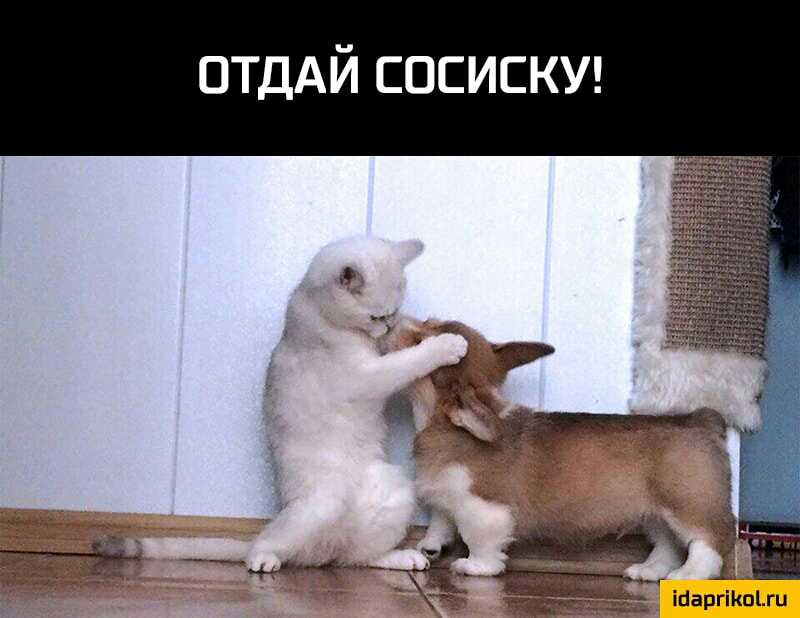 птдАй сосиски