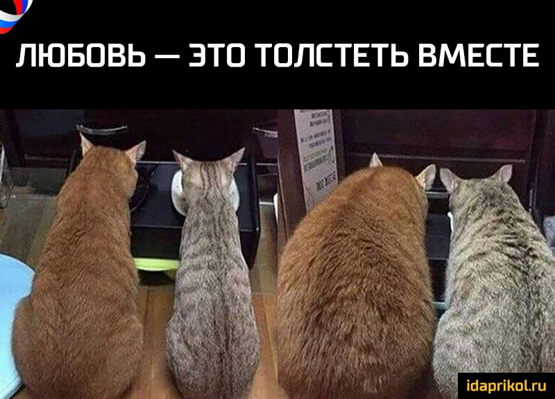 ЛЮБОВЬ ЭТП ТПЛСТЕТЬ ВМЕСТЕ
